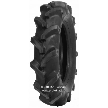 Tyre 8.00-18 R-1 Loricae 8PR 106A5 TT