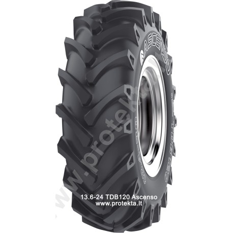 Tyre 13.6-24 (340/85R24) RDB120 Ascenso 8PR 123A8 TT (egl.)